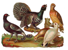 Load image into Gallery viewer, #birdsofafeather Hashtag Mug