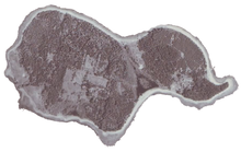 Load image into Gallery viewer, #oakisland Money Pit Hashtag Mug